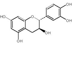 儿茶素单体.png